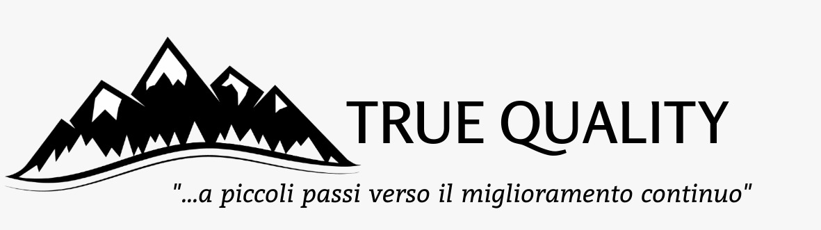 TRUE QUALITY DI FRANCO BARONCINI S.N.C.