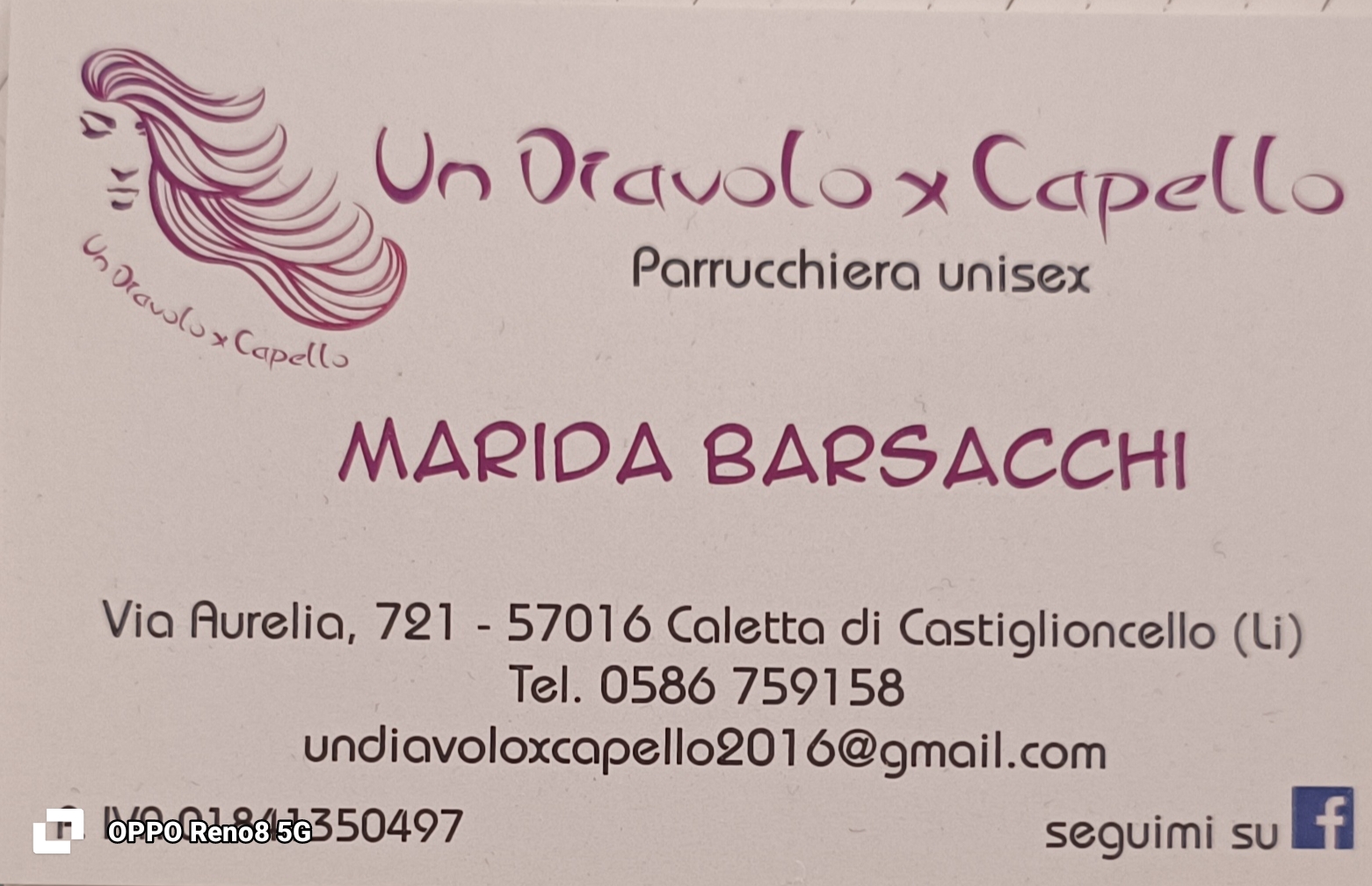 un diavolo x capello di barsacchi marida
