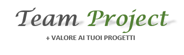 TEAM PROJECT SRL