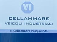 VEICOLI INDUSTRIALI DI CELLAMMARE PASQUALINDA