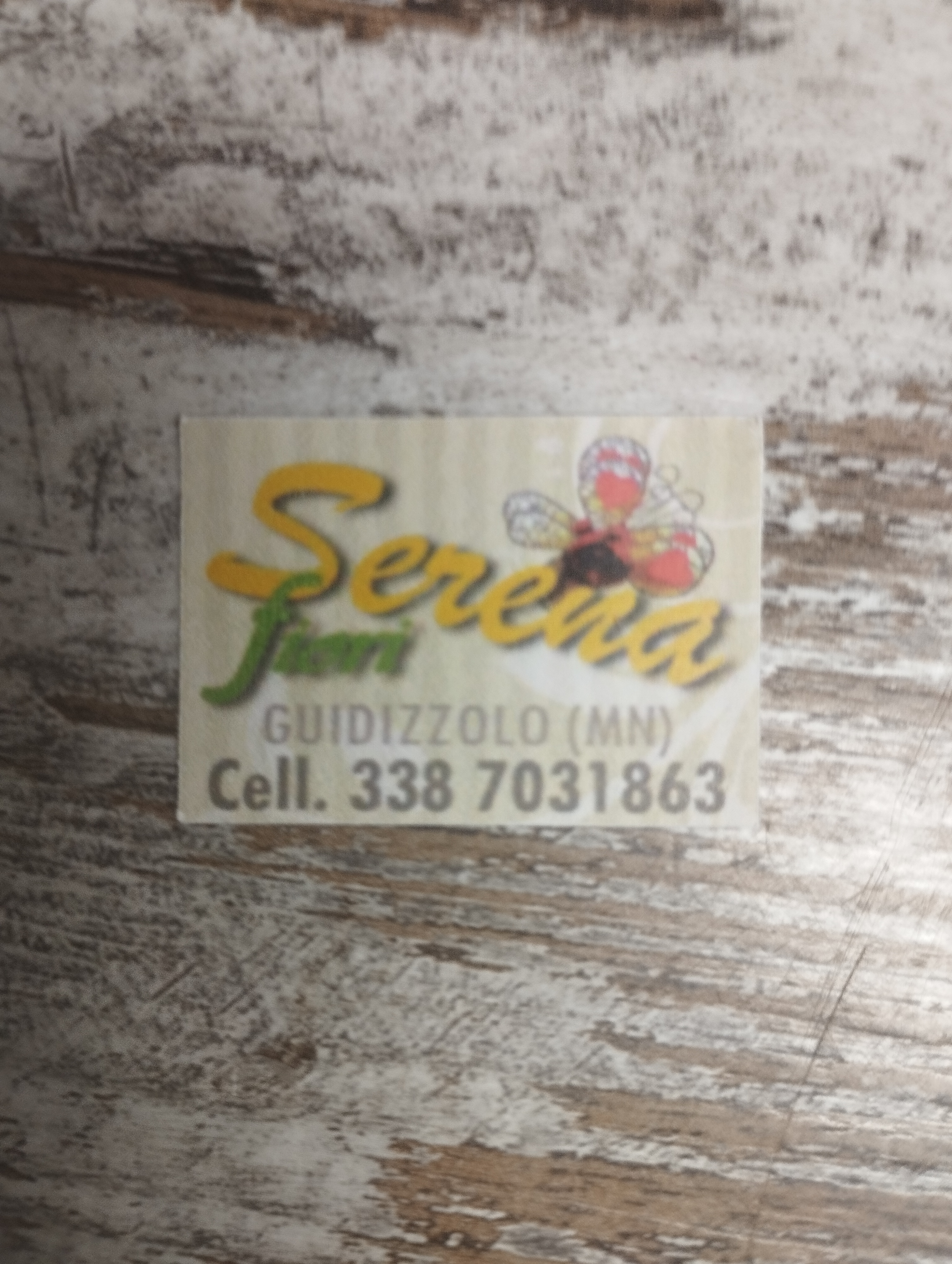 VICENTINI SERENA