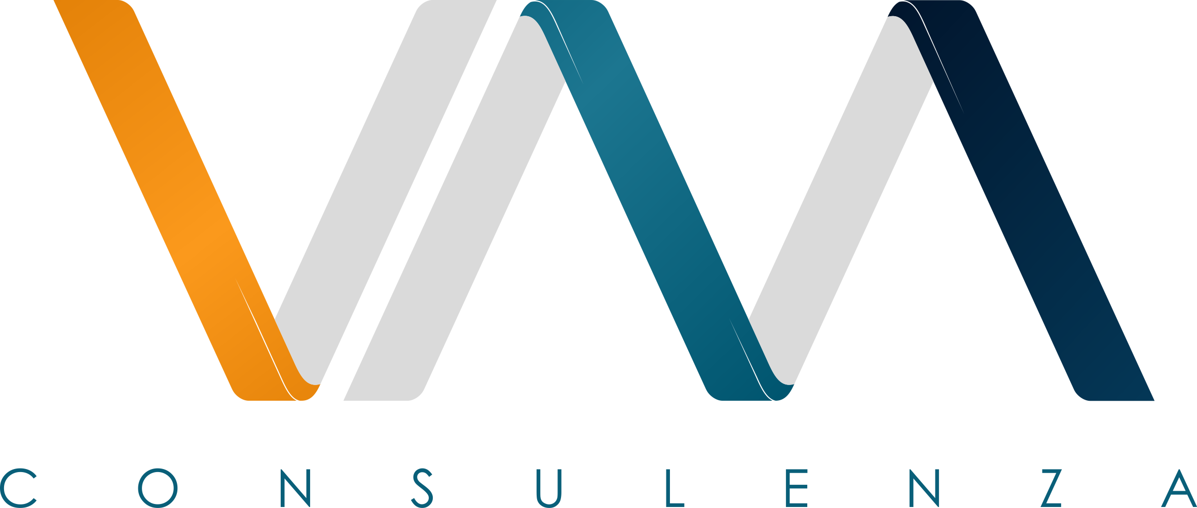 VM CONSULENZA