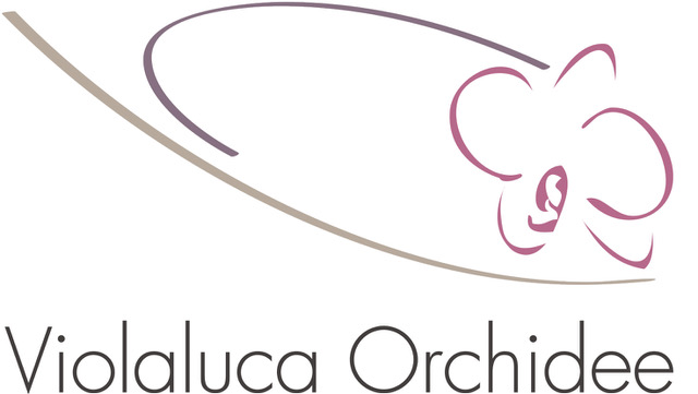 VIOLALUCA ORCHIDEE DI SOMMARIVA SERGIO DAVIDE
