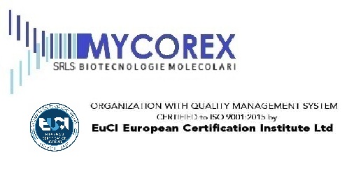 Mycorex srl