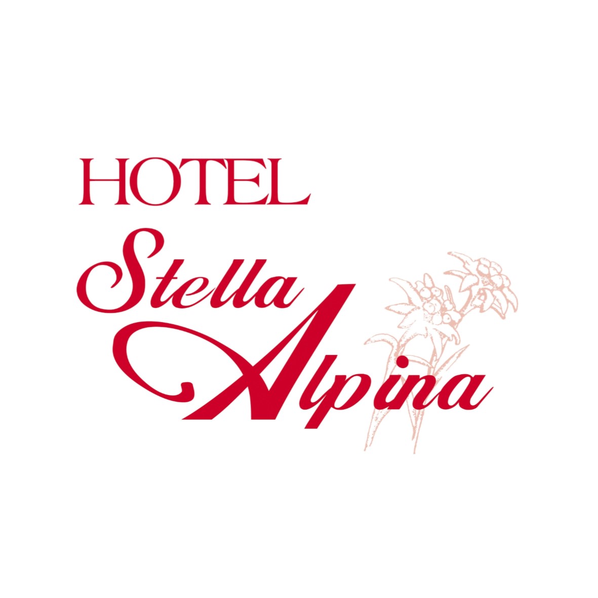 hotel stella alpina srl