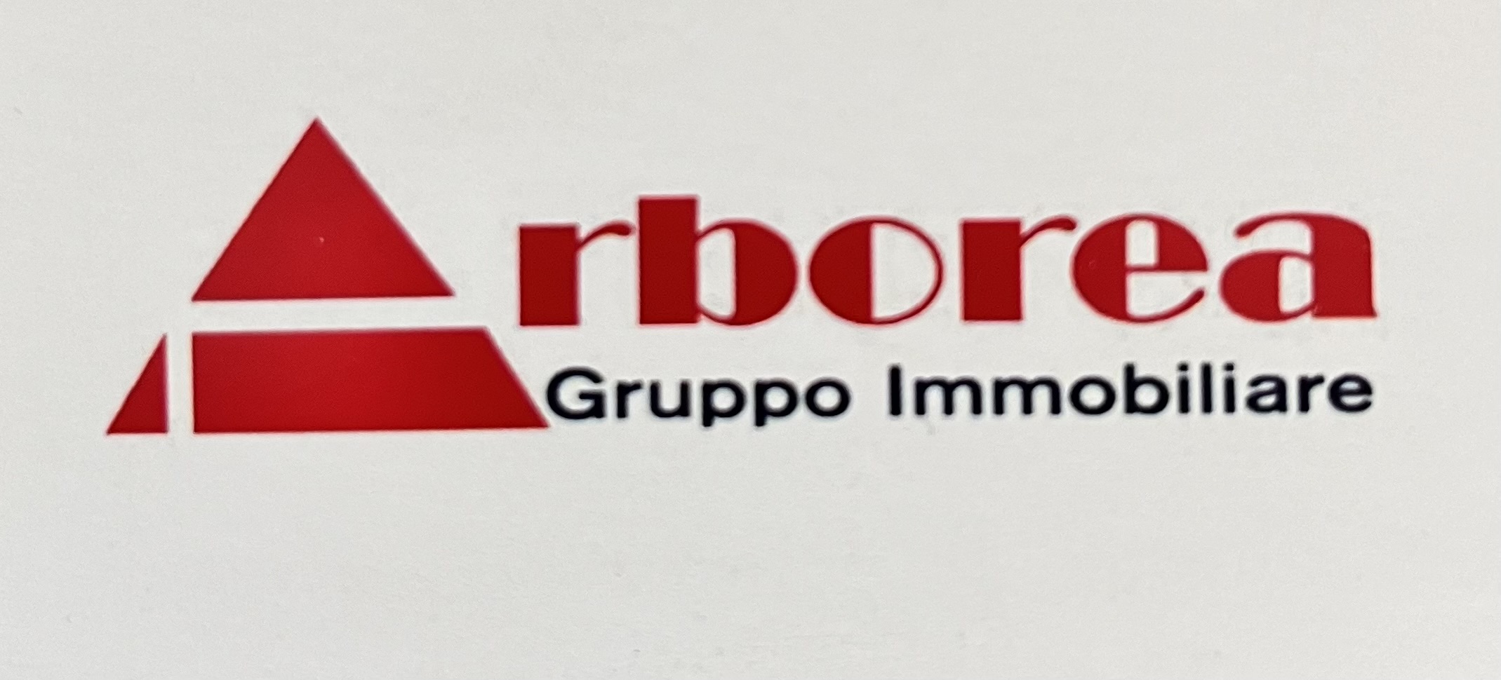 arborea gruppo immobiliare di arborea leonardo