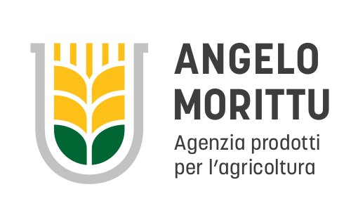 ANGELO MORITTU
