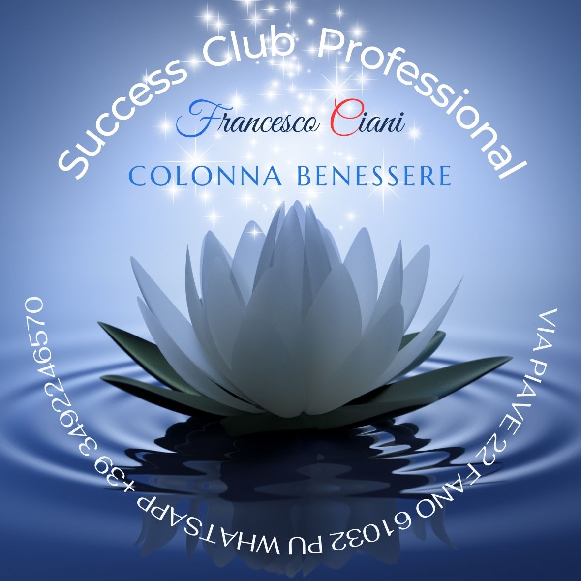 success club professional di ciani francesco & c. s.n.c.