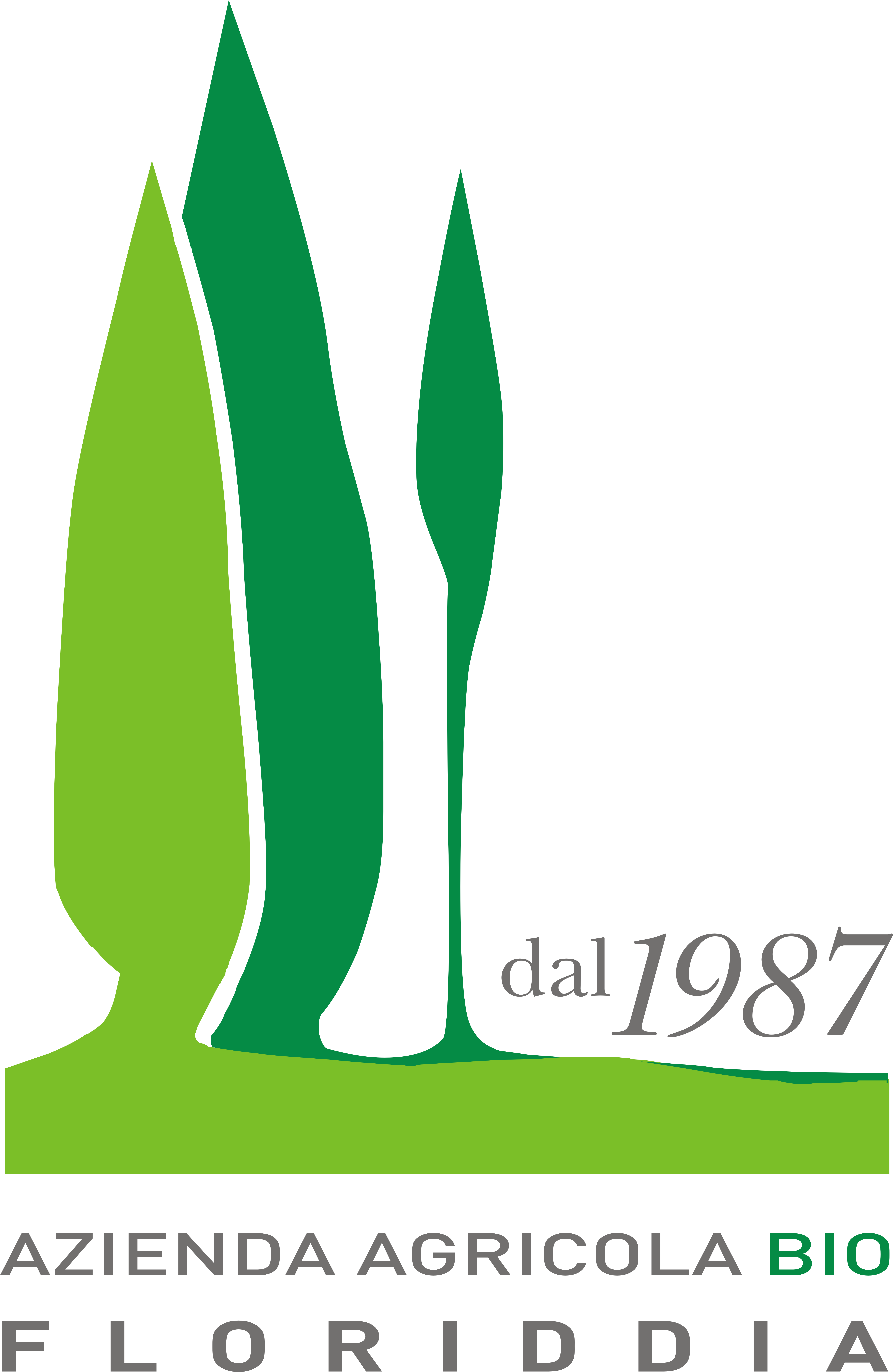 floriddia rosario