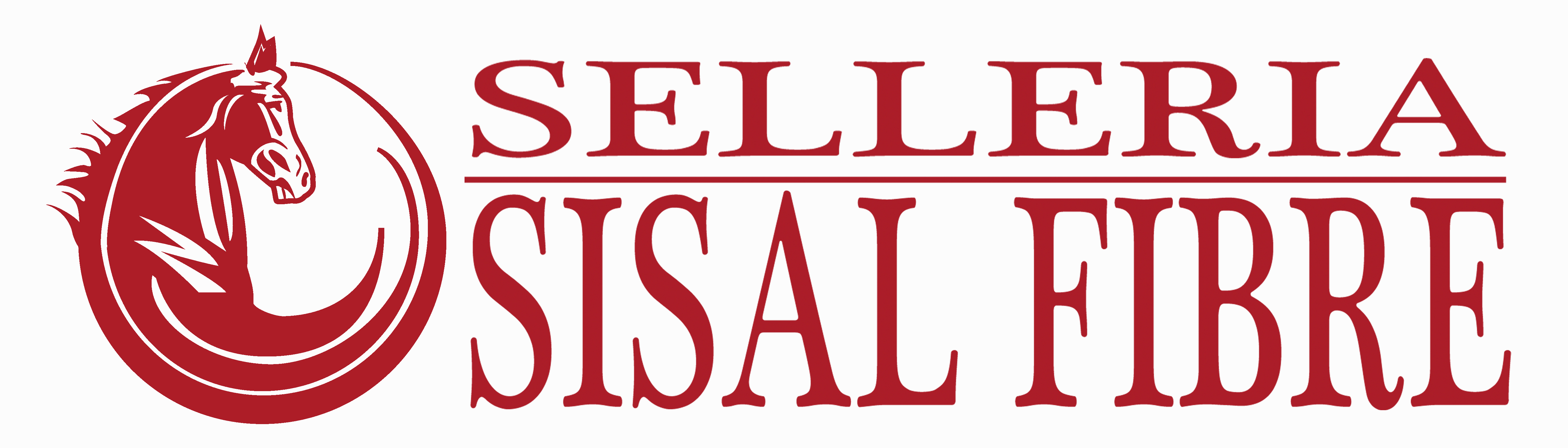 sisalfibre di ghini anna maria