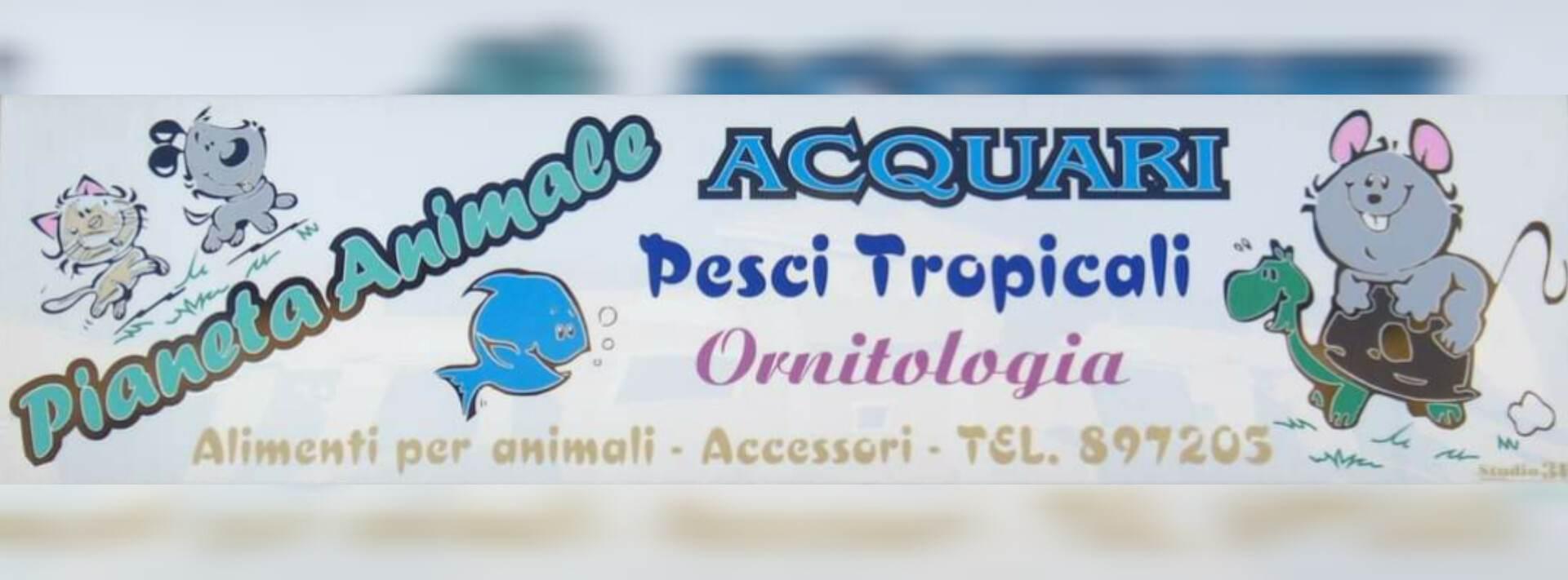 ar.lu. di arrichetta pasquale & giuseppe s.n.c.