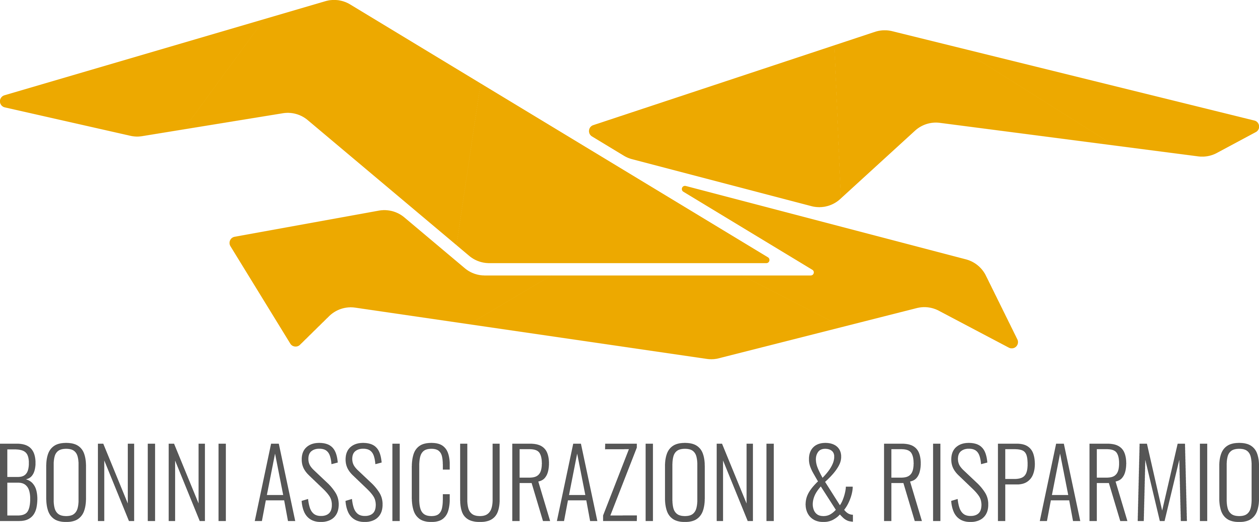 Bonini Assicurazioni s.a.s. di Bonini Giancarlo e c.