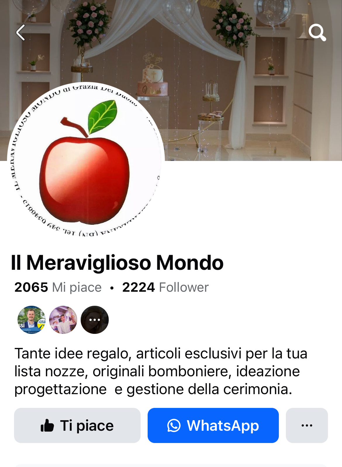Il meraviglioso mondo