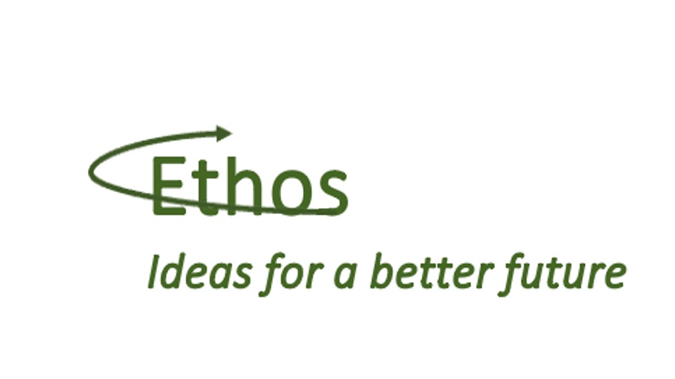 ethos societa' a responsabilita' limitata semplificata