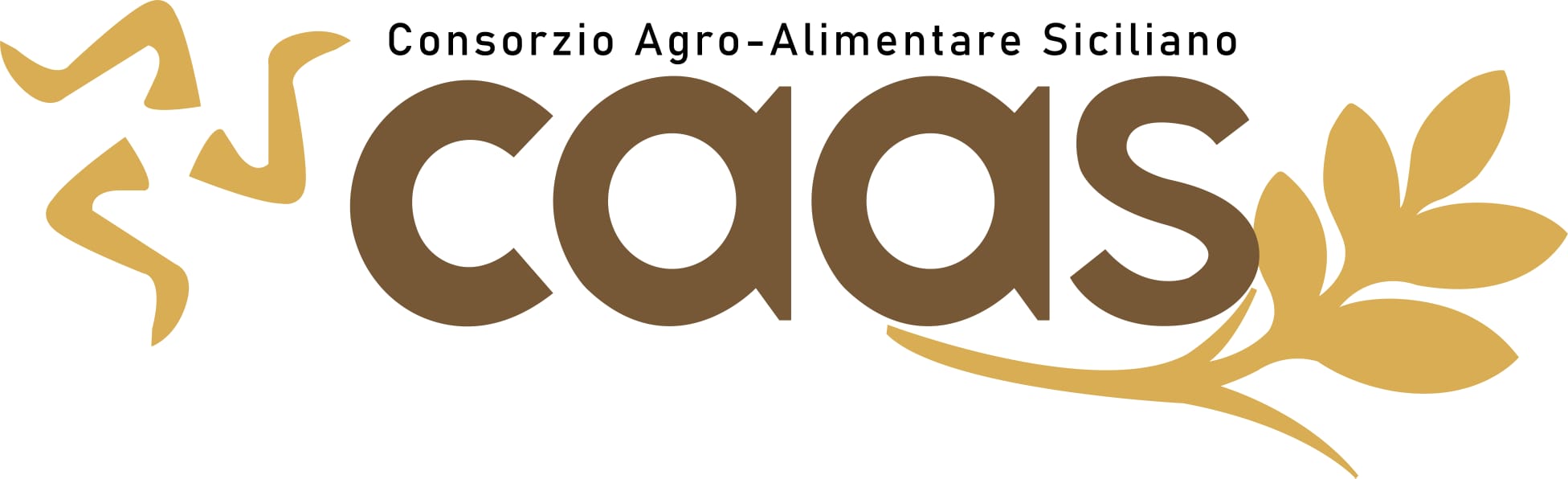 consorzio agro alimentare siciliano - c.a.a.s.