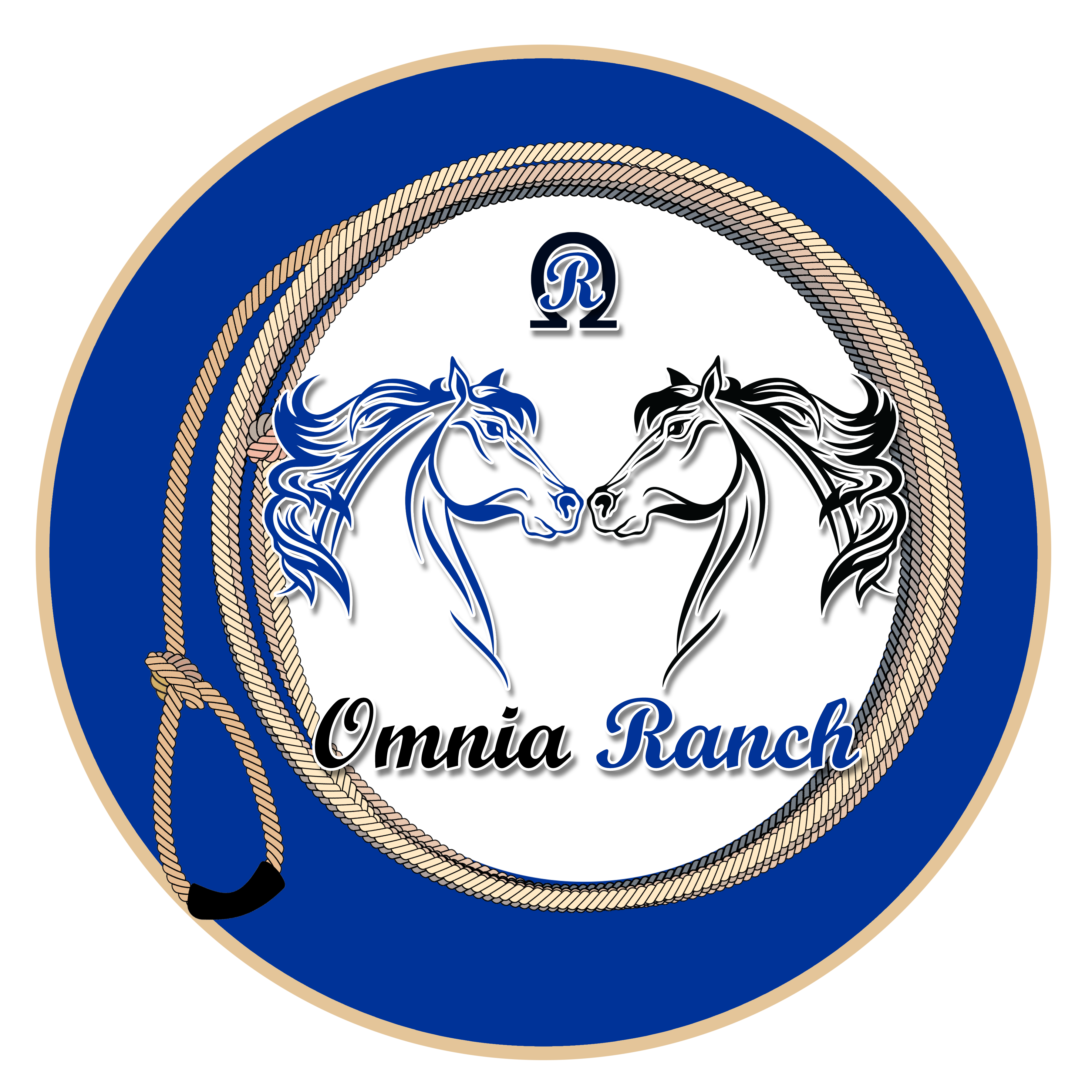 societa' agricola le piane a responsabilita' limitata - in forma abbreviata societa' agricola le piane a r.l.