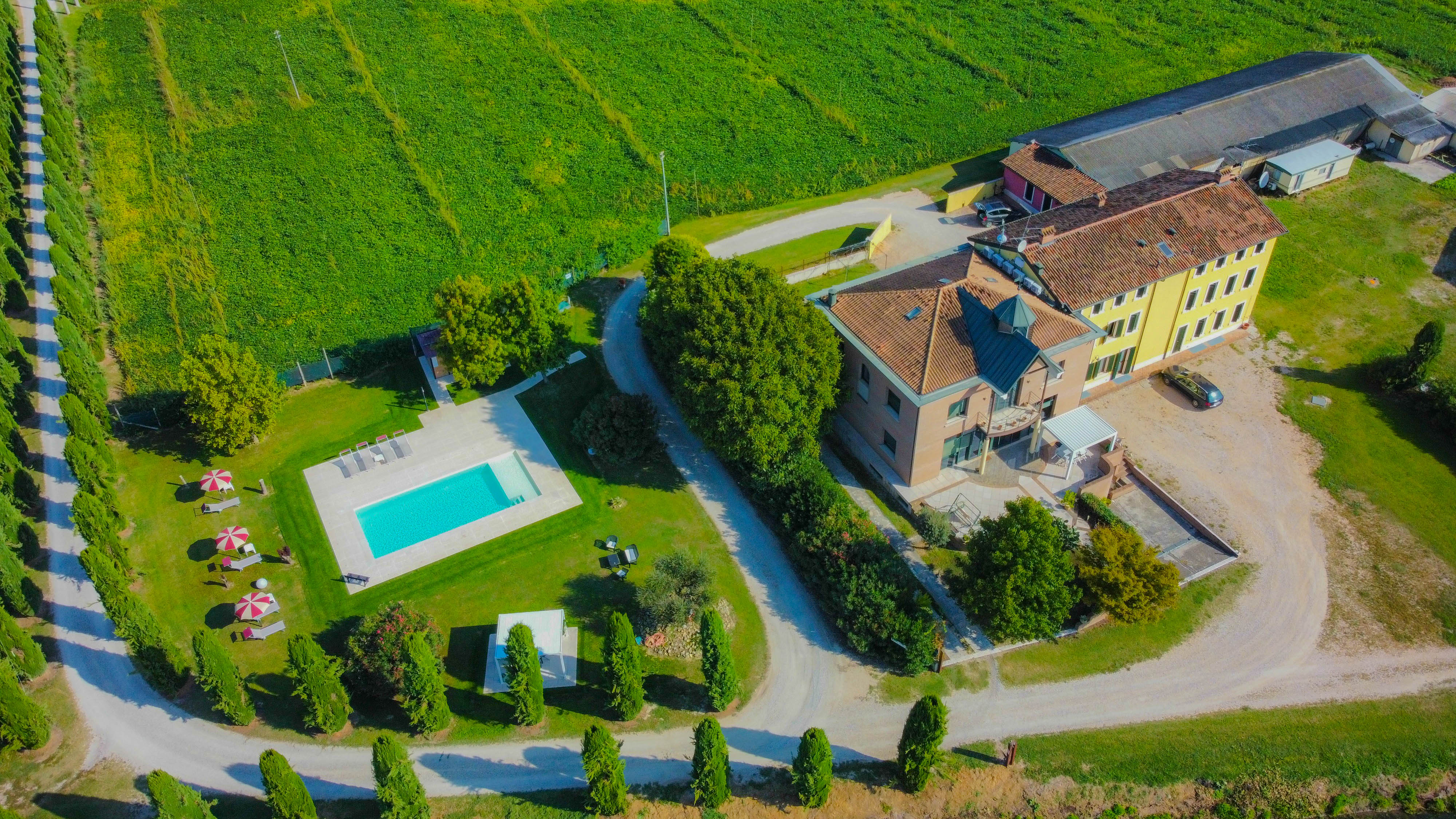 campedelli luciano