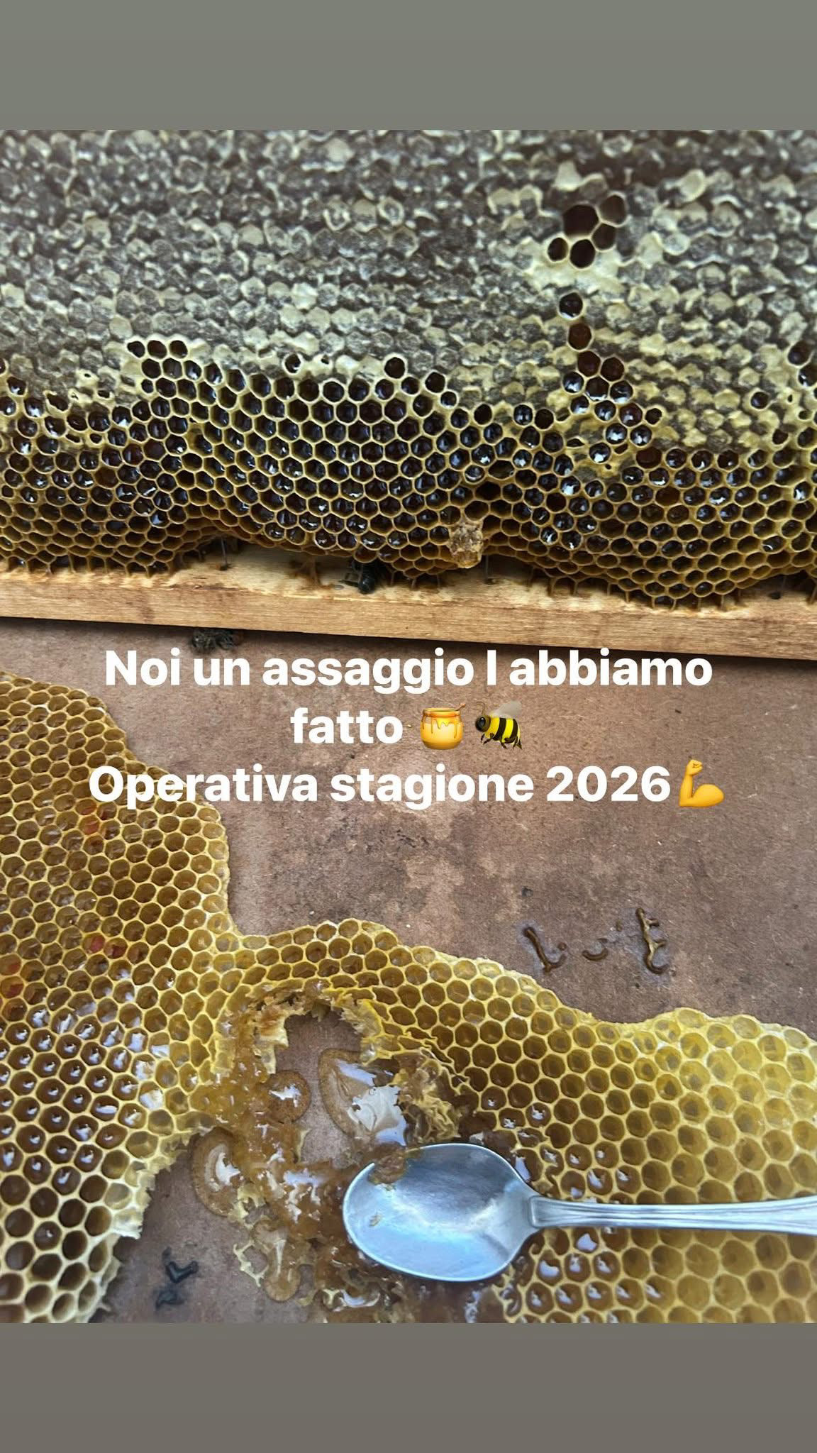 Palazzolo Daniela