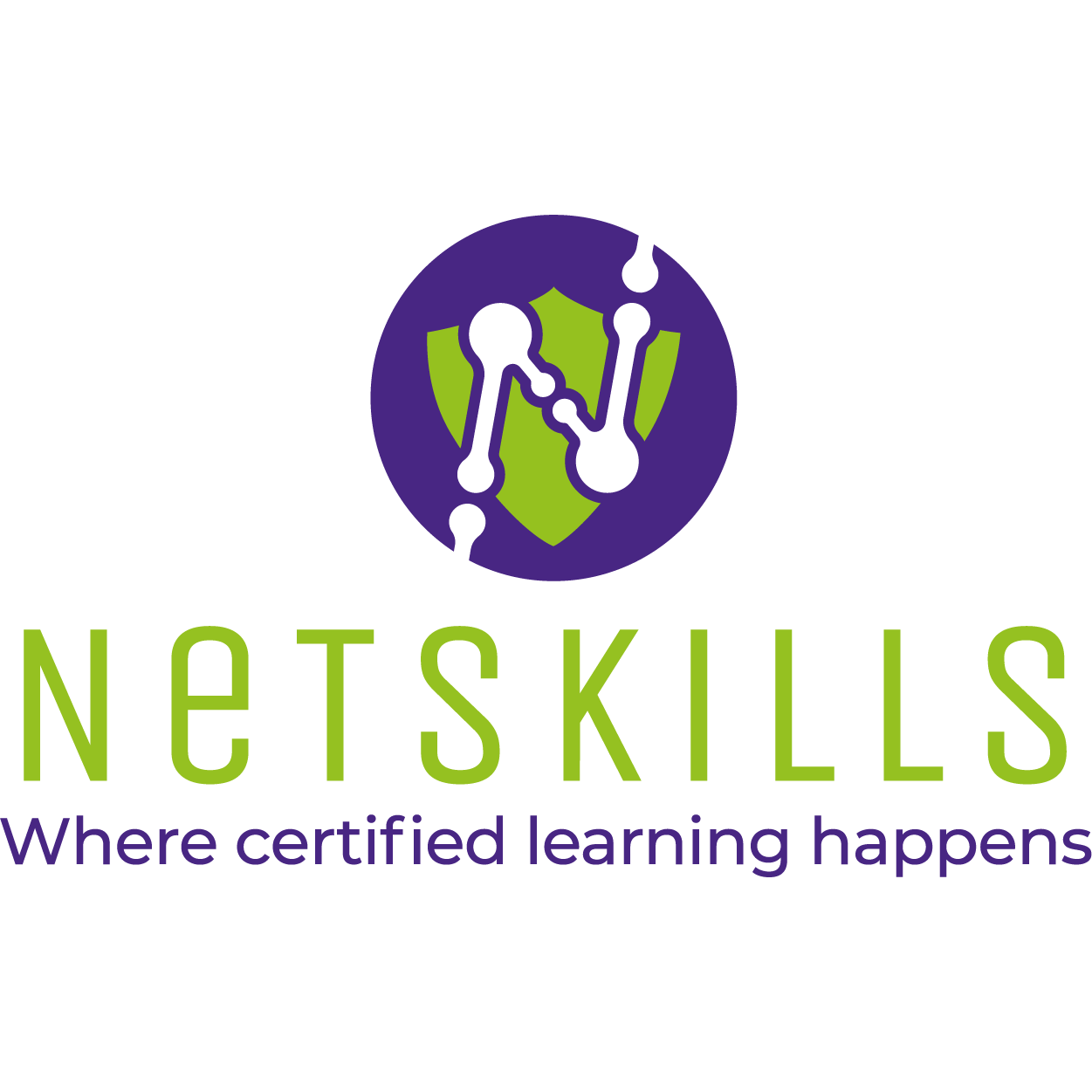 netskills srl