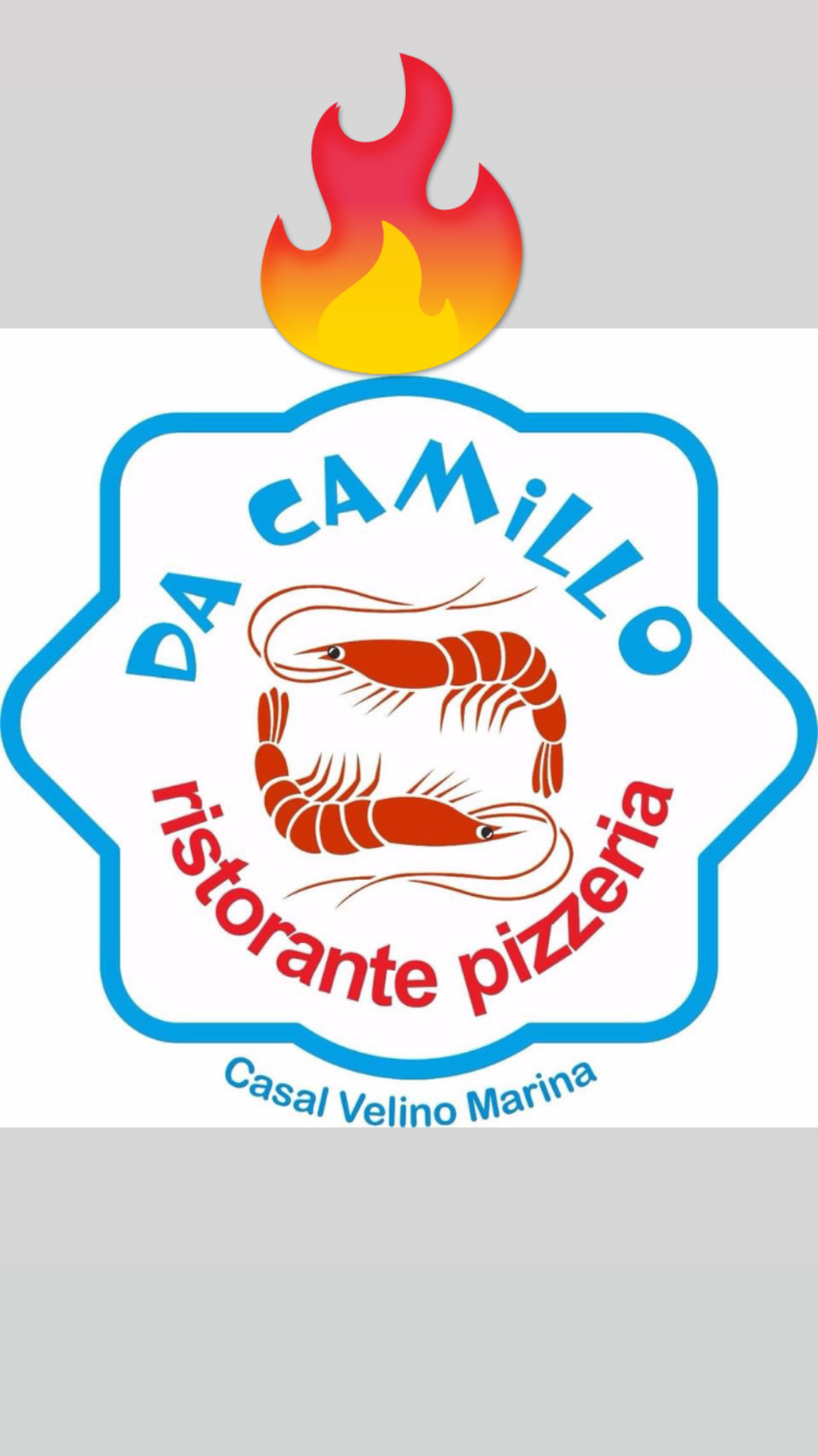 pinto camillo angelo