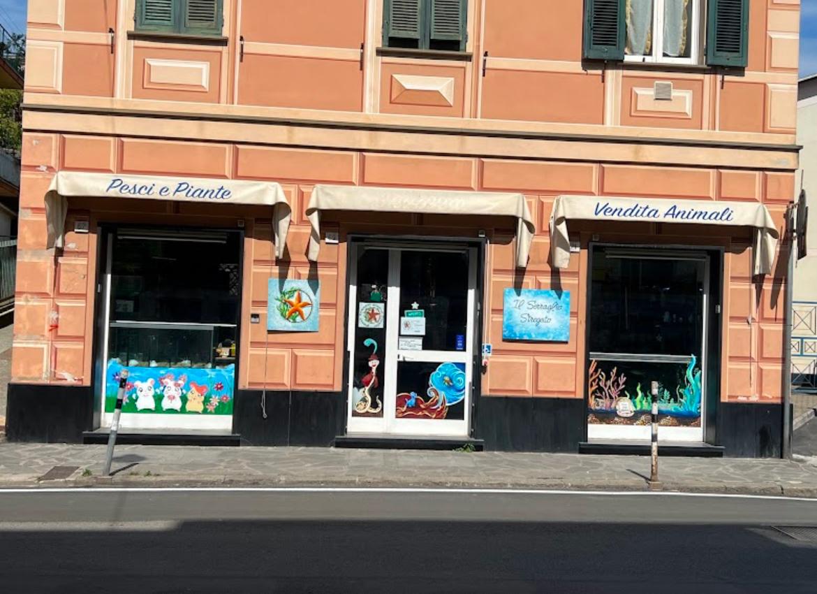 il serraglio stregato: the unusual acquarium di lorenzo damico