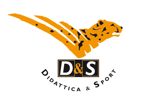 d & s s.r.l.