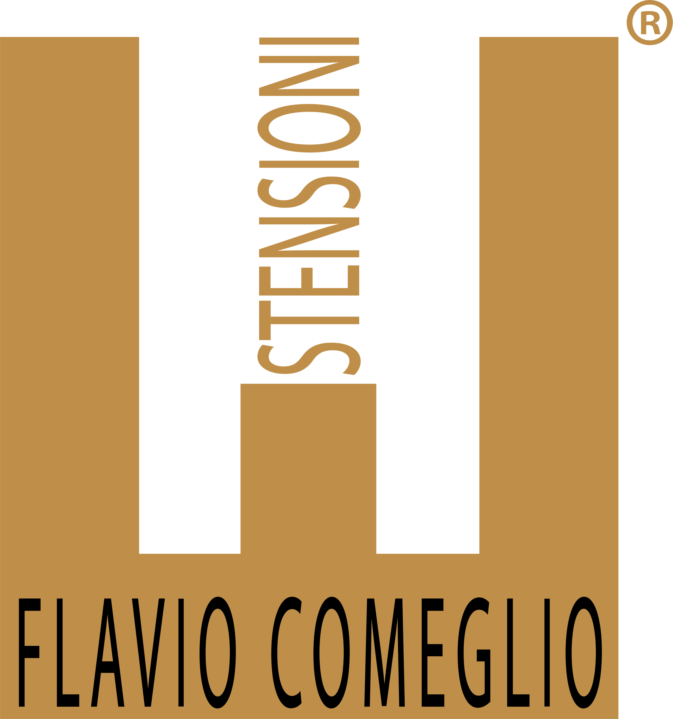 flavio comeglio srls