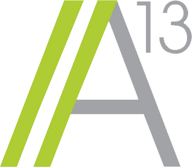 a13 societa' a responsabilita' limitata
