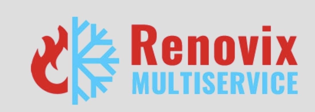 renovix societa' a responsabilita' limitata semplificata