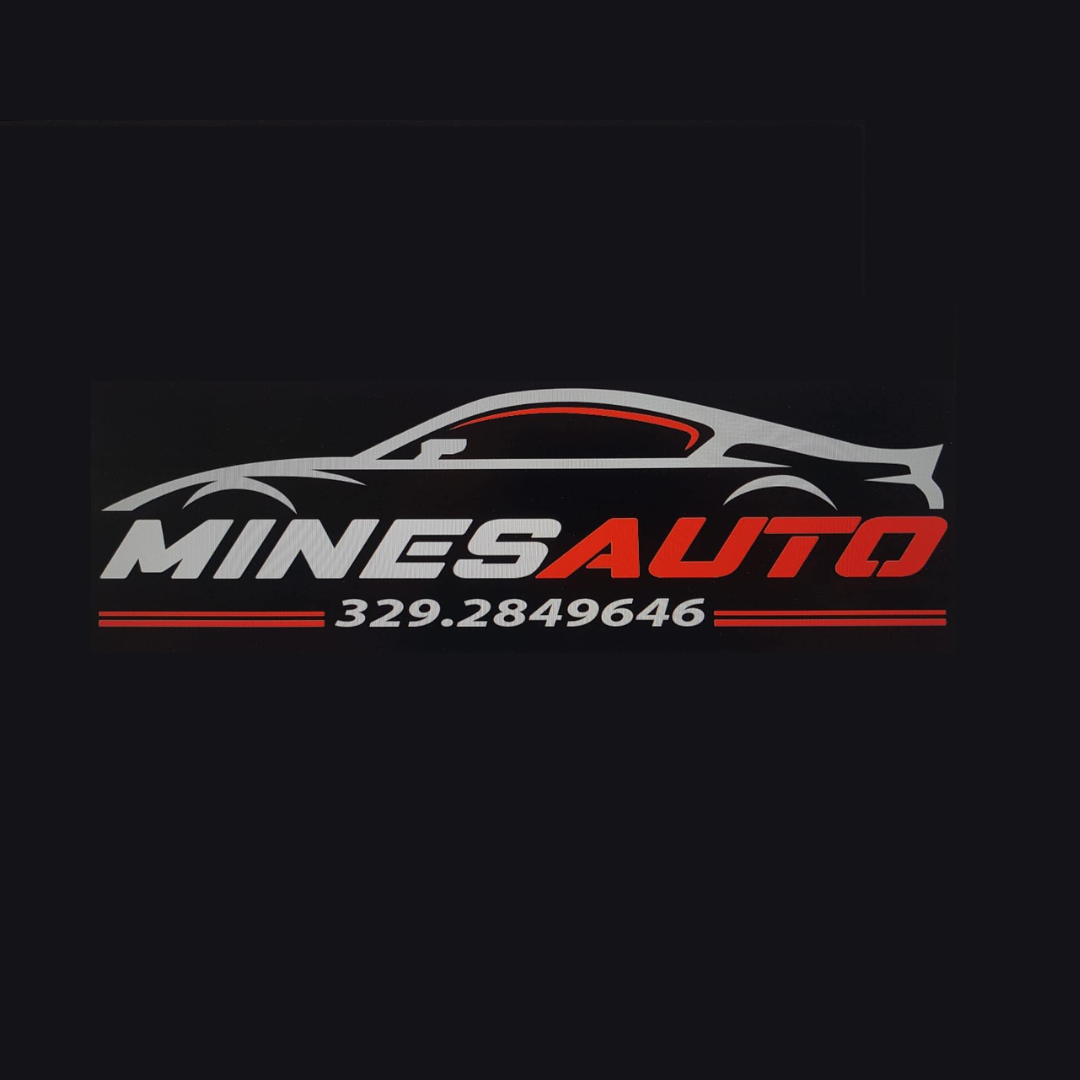 minesauto societa' a responsabilita' limitata semplificata