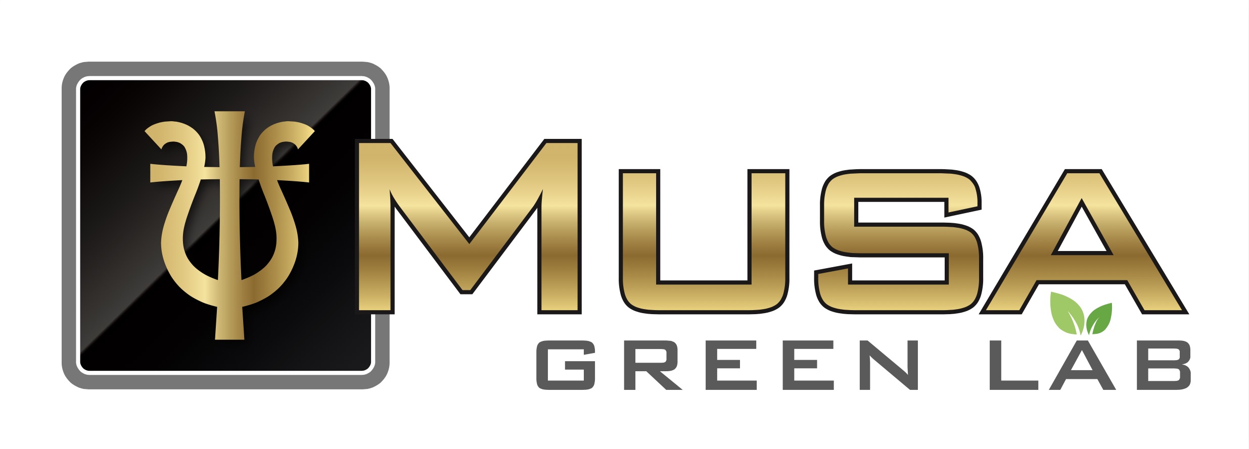 MU.S.A. SRL MULTISERVIZI AMBIENTALI