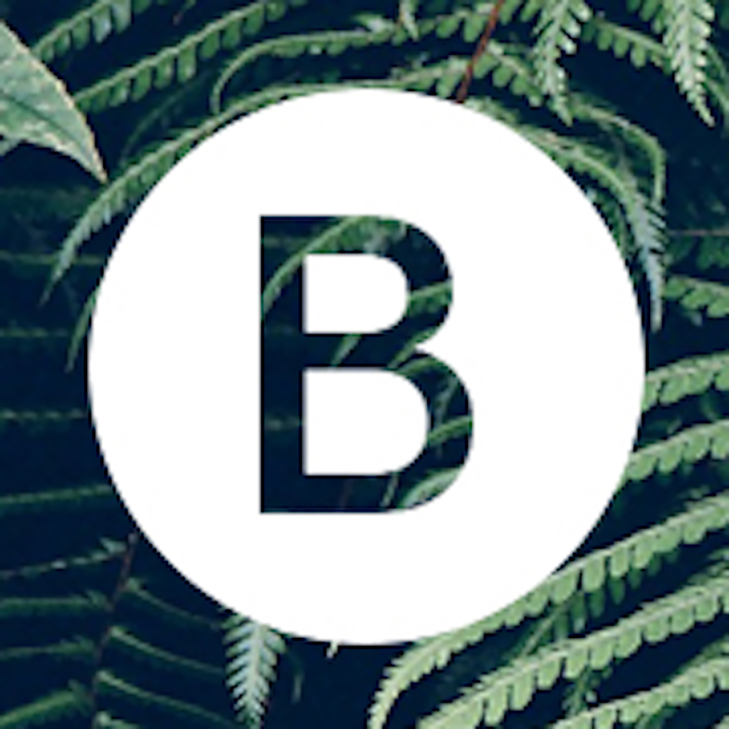 Barellani