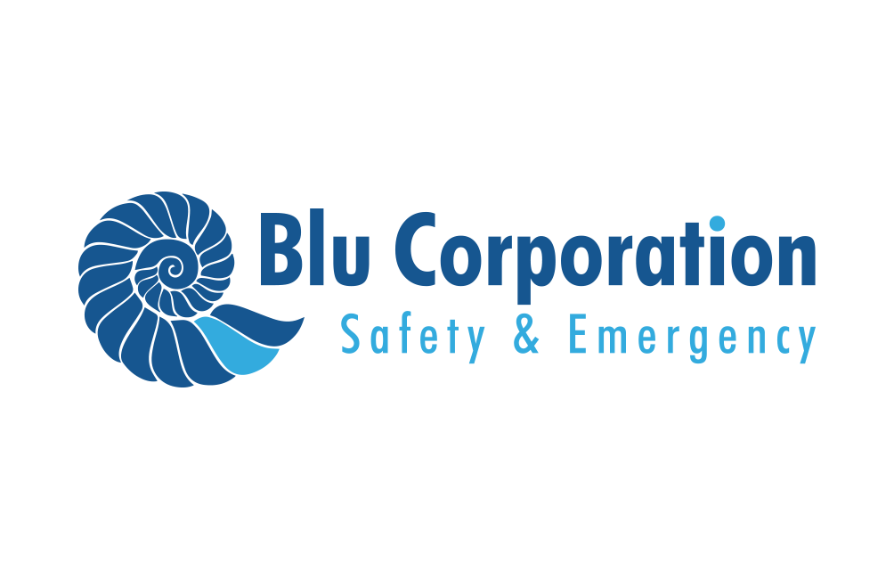 blu corporation societa' a responsabilita' limitata semplificata