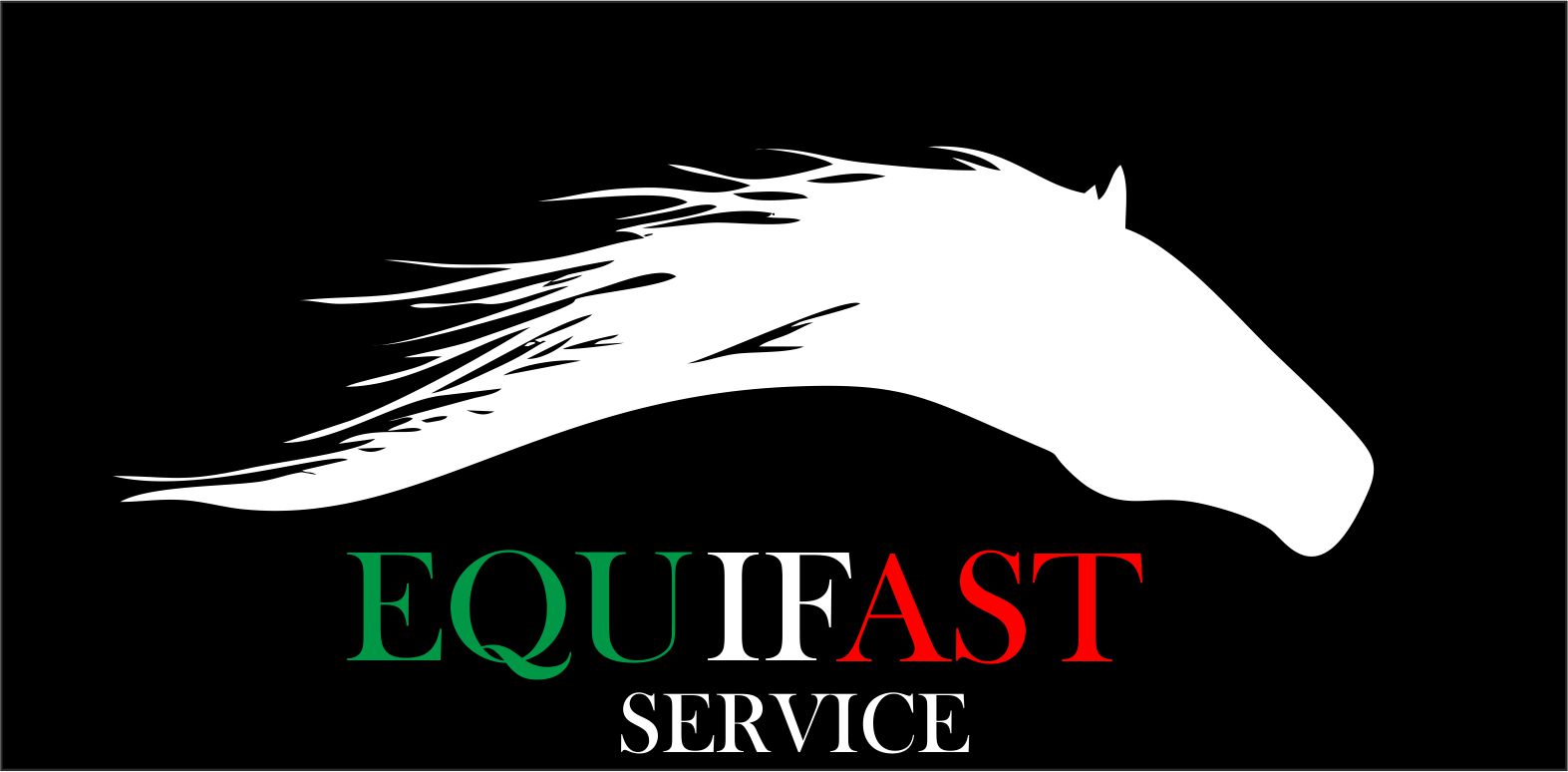 equifast service societa' a responsabilita' limitata semplificata