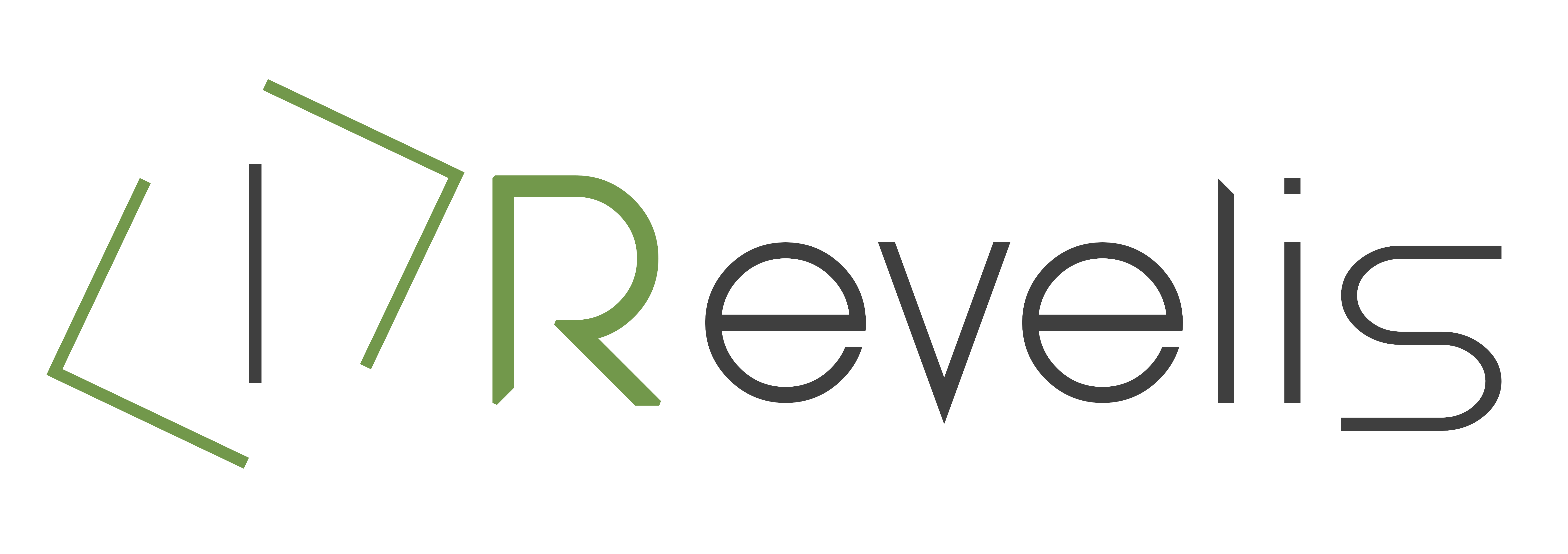 revelis s.r.l.