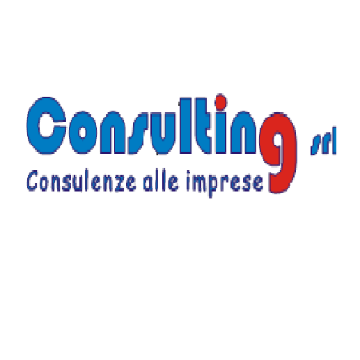 consulting s.r.l.