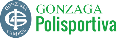 polisportiva gonzaga societa' sportiva dilettantistica a responsabilita' limitata o in forma breve polisportiva gonzaga s.s.d. a r.l.