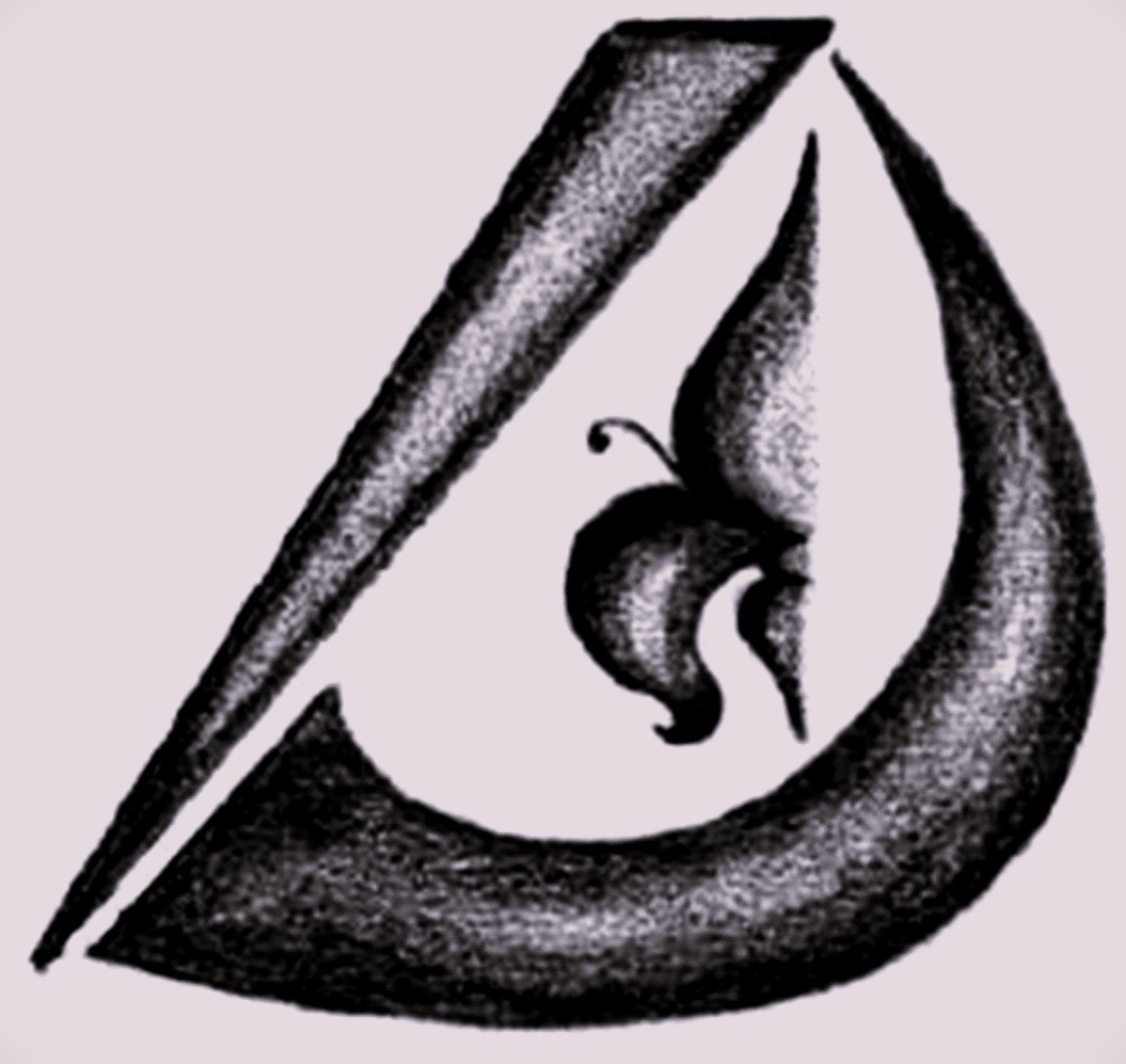 ideafiore di daniela iannone & co. - s.n.c.