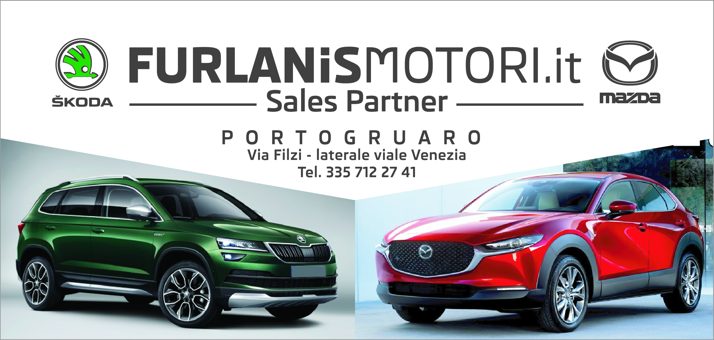 furlanis motori societa' a responsabilita' limitata semplificata