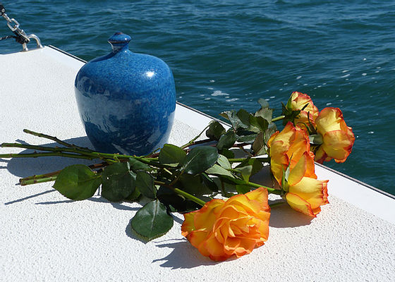 EURO FUNERALS DI CARRANO STEFANO
