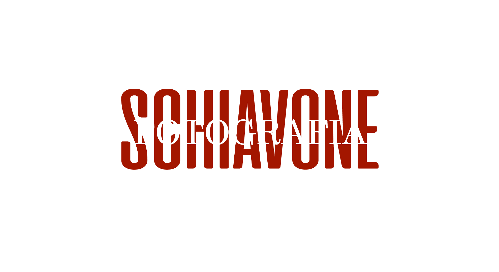 Open Service Italia di Schiavone Paolo