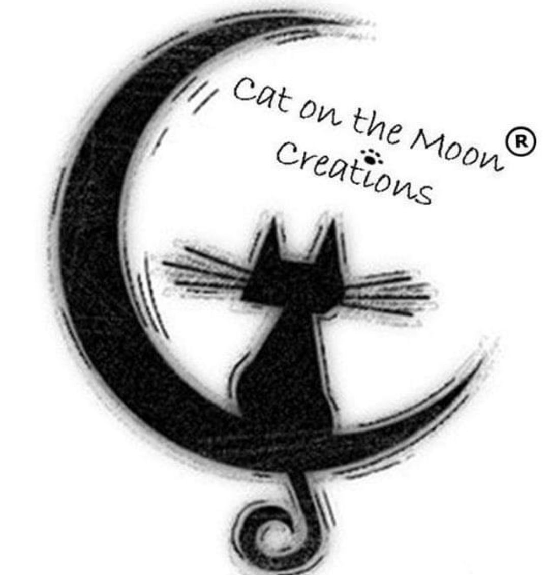 cat on the moon di laura caracciolo