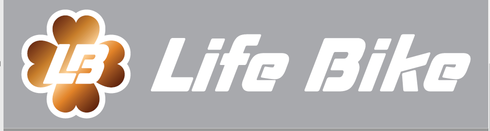life bike societa' a responsabilita' limitata semplificata