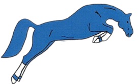 centro equestre la briglia societa' sportiva dilettantistica a r. l.
