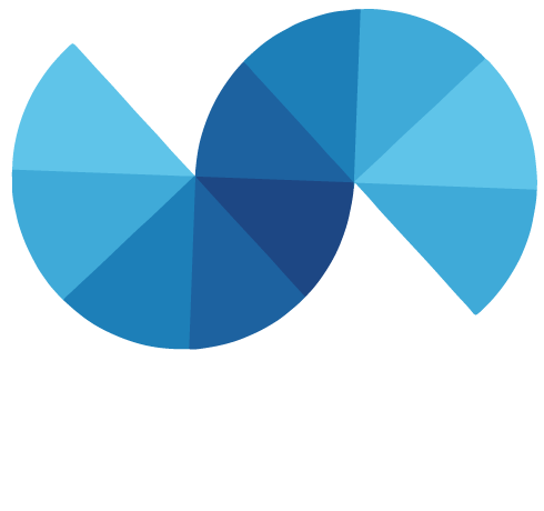 soiv s.r.l.