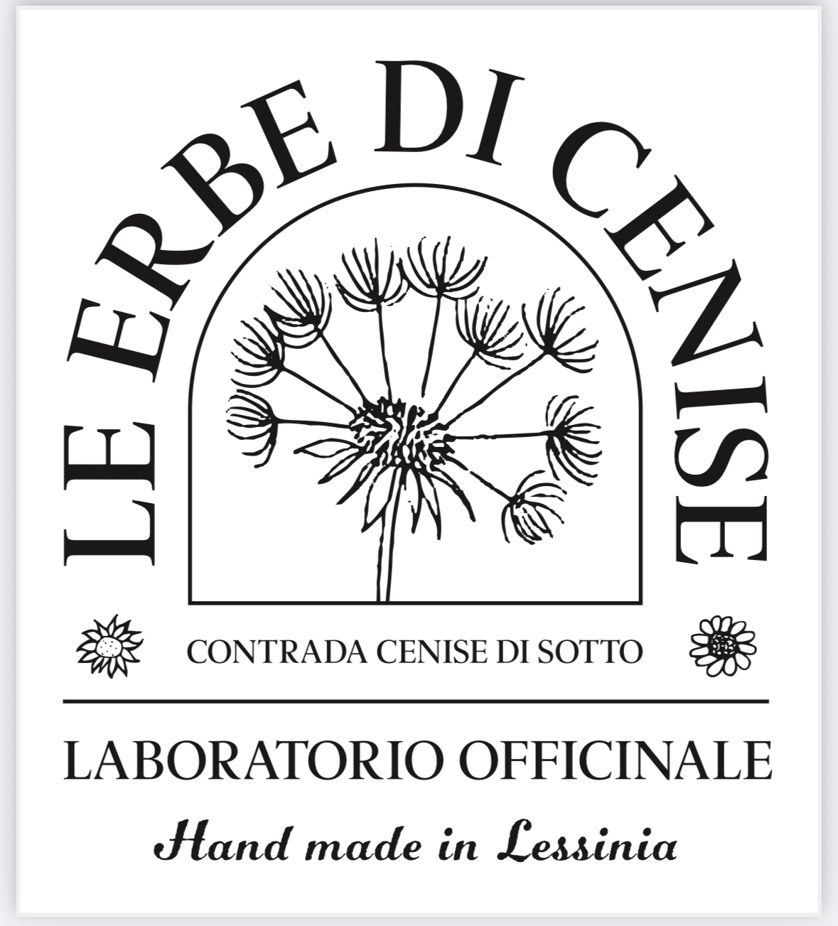 le erbe di cenise di zanini maddalena