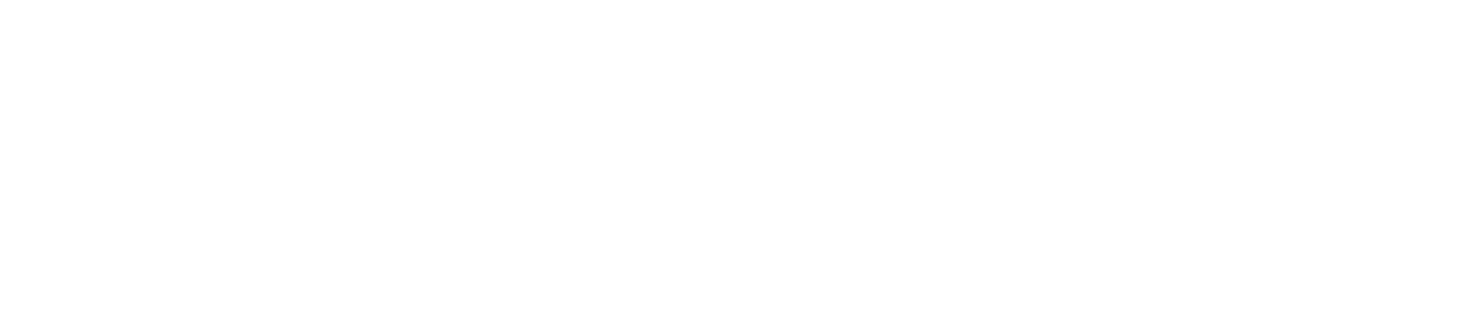 INFOBASIC SRL