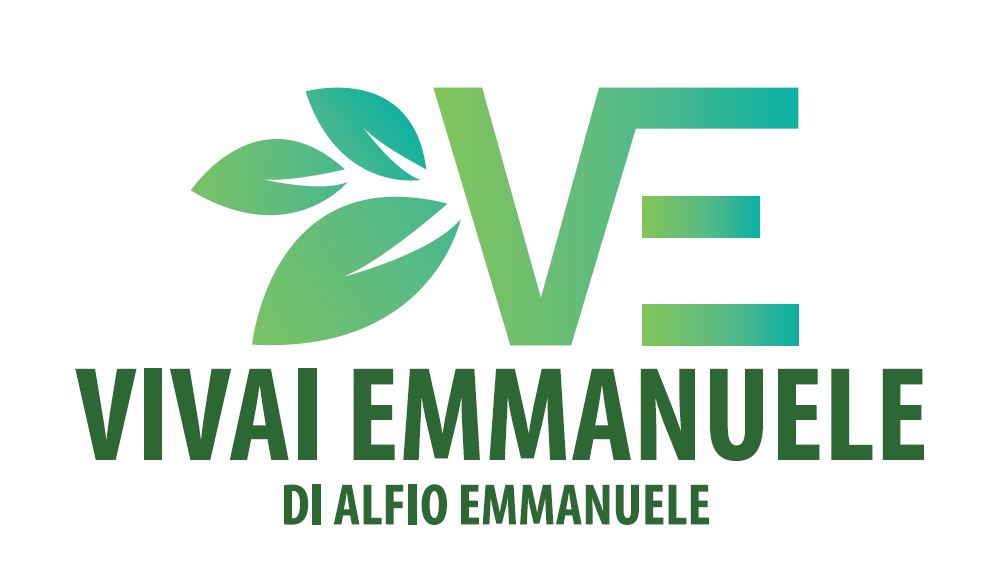 VIVAI EMMANUELE DI ALFIO EMMANUELE