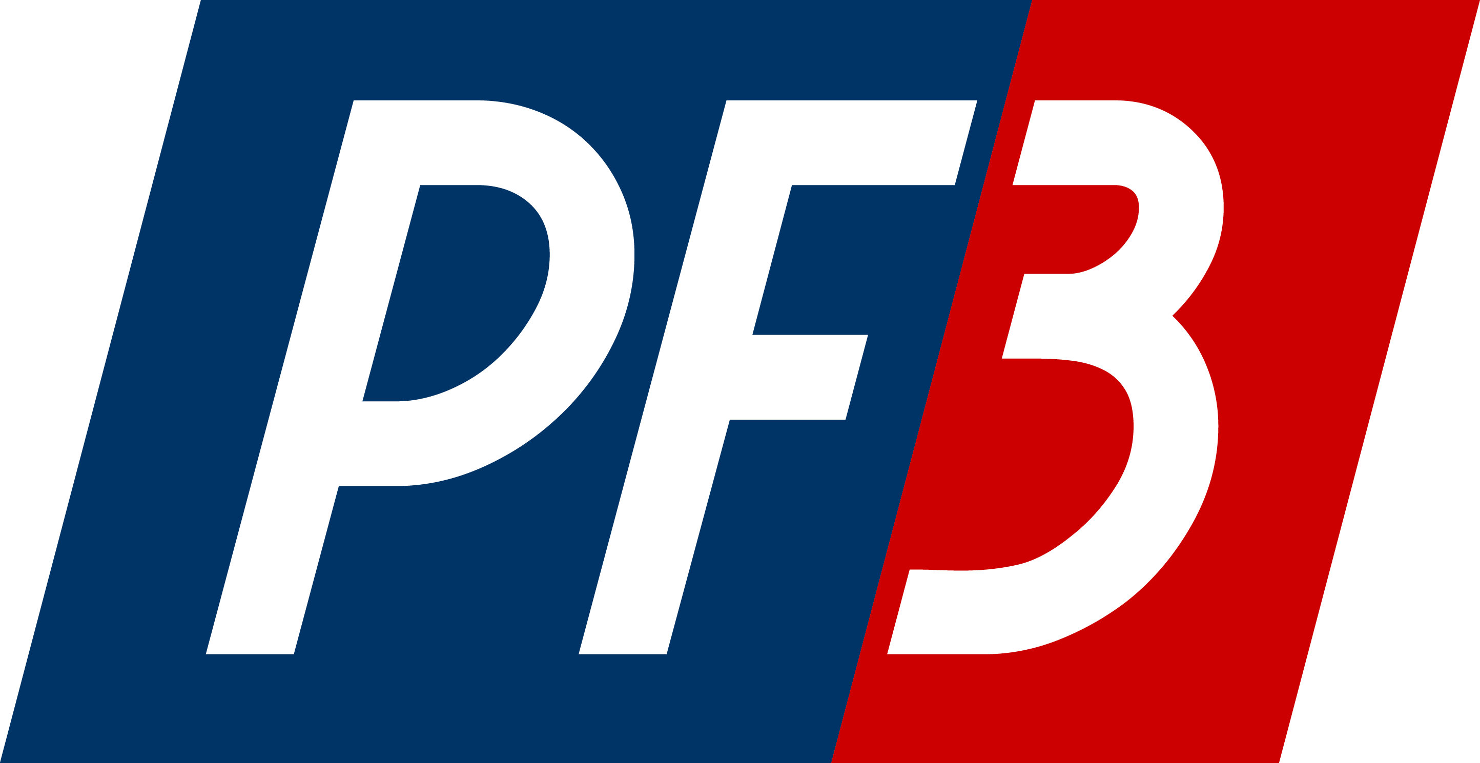 PF3 |Paghe Forza 3 Srl