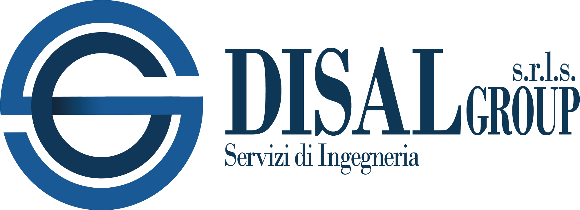 disalgroup societa' a responsabilita' limitata semplificata